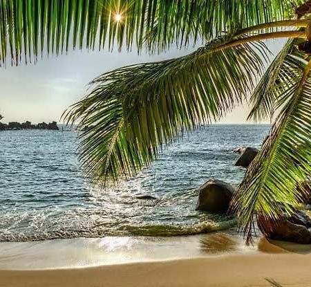 Baga Beach Palms Bagian luar foto