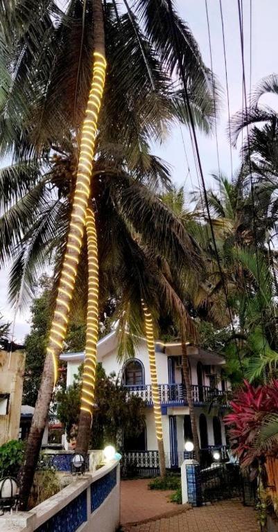 Baga Beach Palms Bagian luar foto